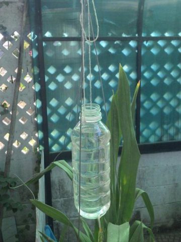 DIY Drip Irrigation Systems