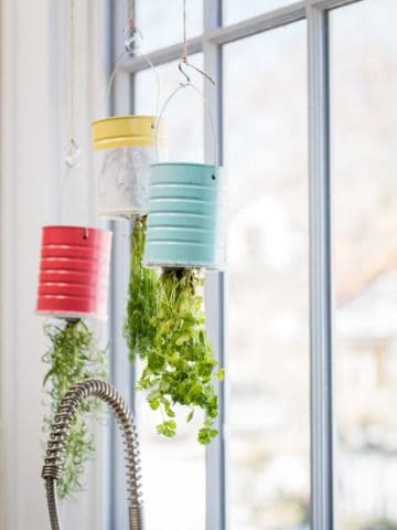 DIY Hanging Herb Garden Ideas