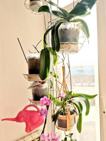 DIY Hanging Planter Ideas
