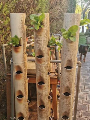 DIY PVC Pipe Garden Ideas