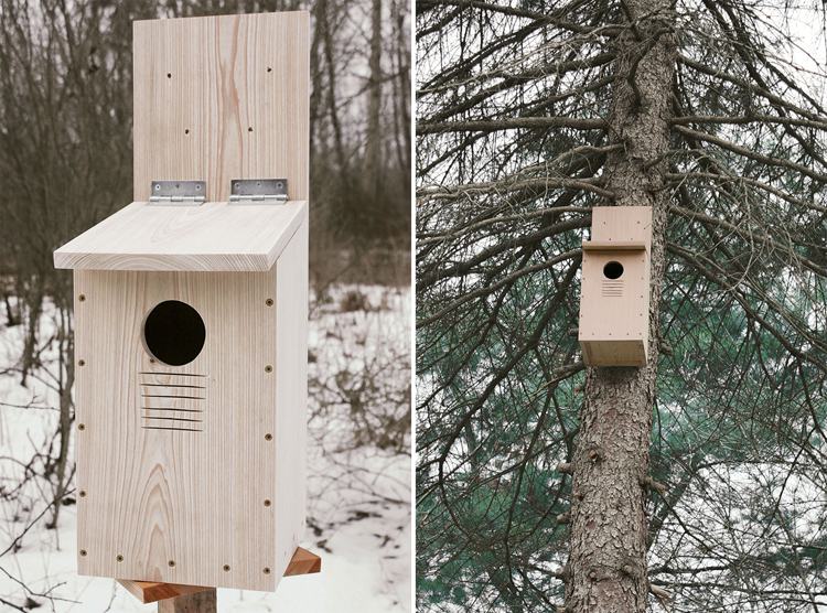 14. DIY Screech Owl Nest Box Build