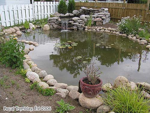 14. How To Build A Backyard Pond For Ducks