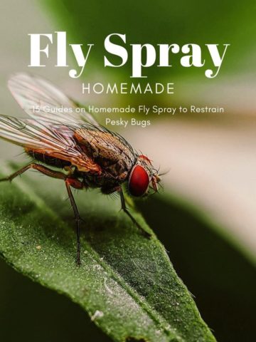 15 Guides on Homemade Fly Spray to Restrain Pesky Bugs