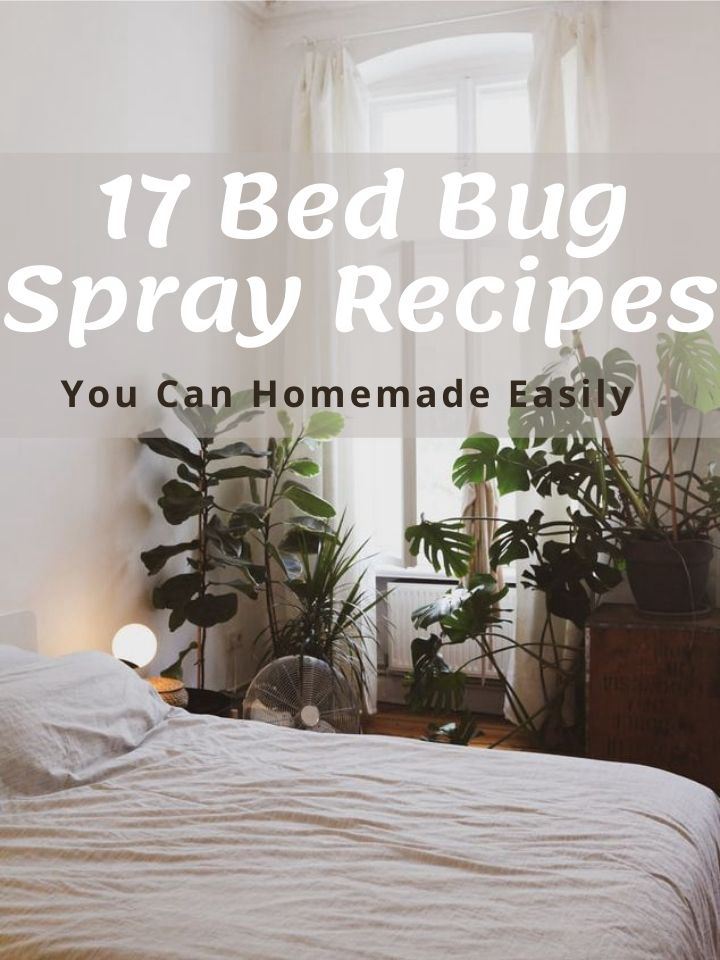 17 Bed Bug Spray Recipes