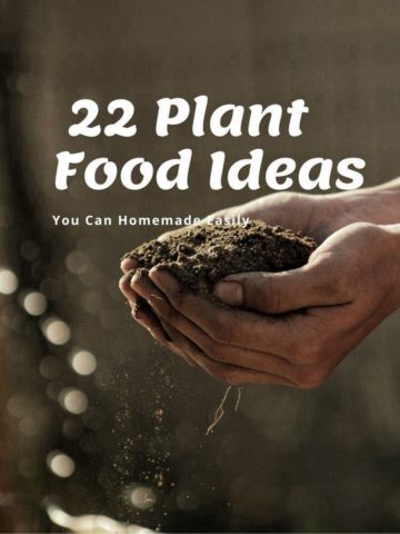 22 Plant Food iDEAS