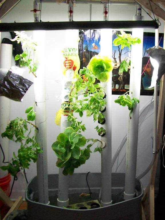 4. Vertical Aquaponic Garden DIY