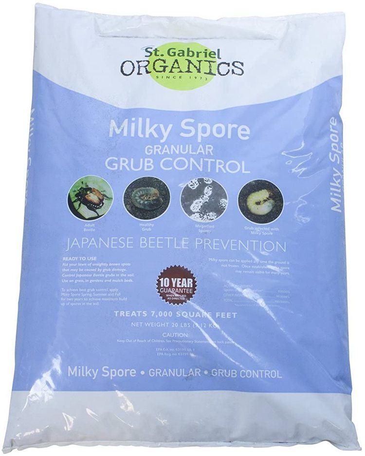 Milky Spore