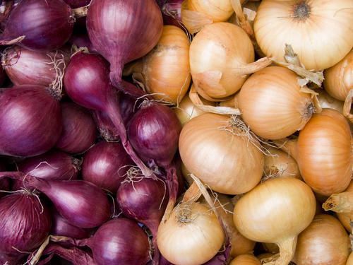 Yellow and Red Onions
