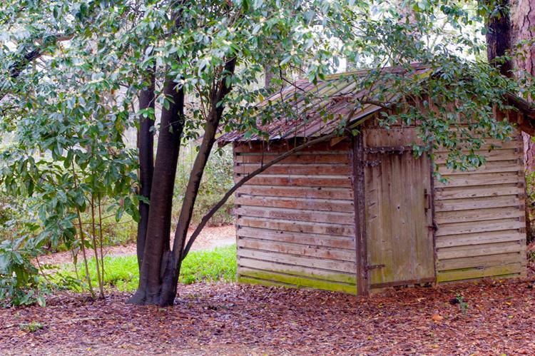 outdoor sheds