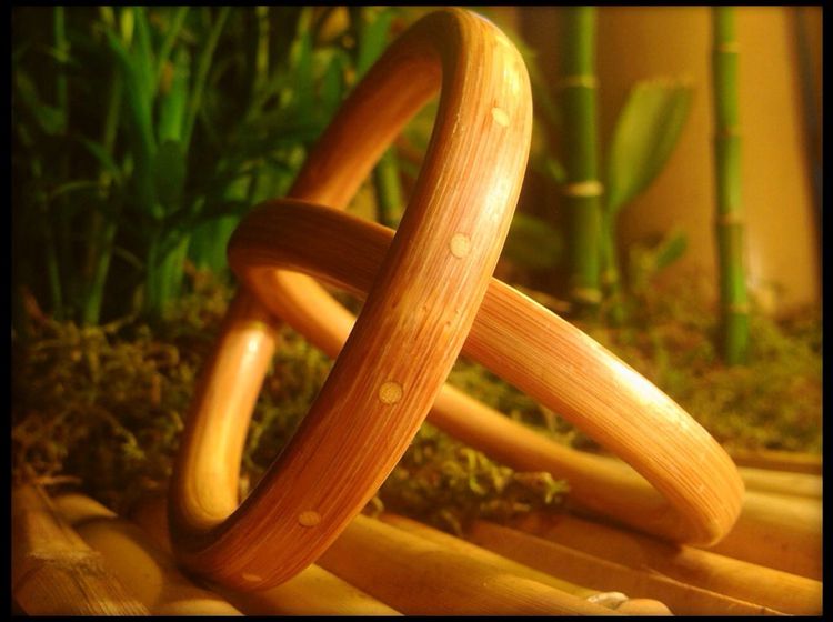 DIY Bamboo Bracelet