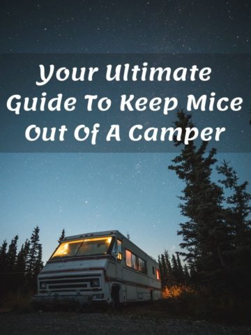 Mice Out Of A Camper