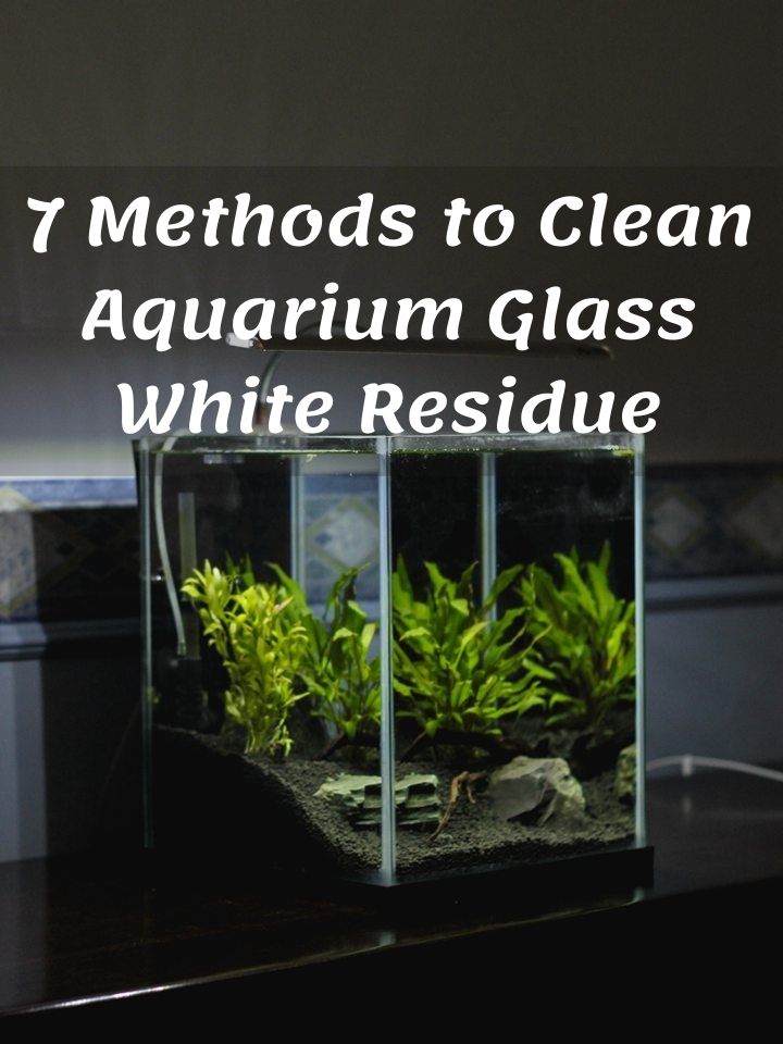 7 Methods to Clean Aquarium Glass White Residue
