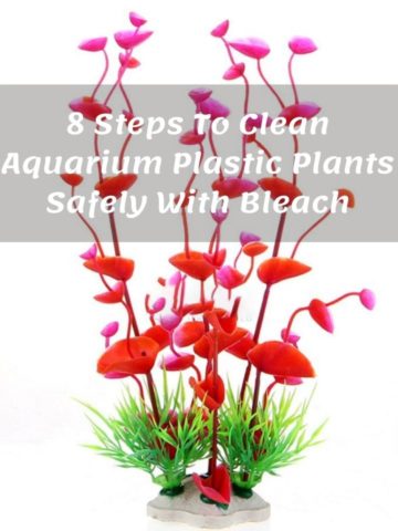 8 Steps To Clean Aquarium Plastic Plants Safely With Bleach