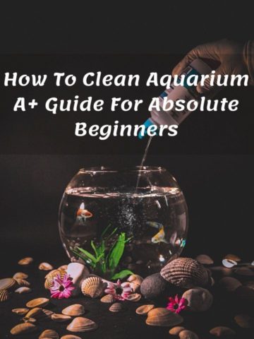 How To Clean Aquarium