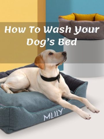 How To Wash Your Dog’s Bed