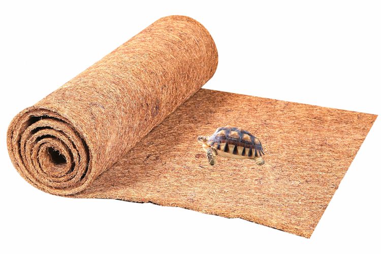 How to Clean A Reptile Carpet01