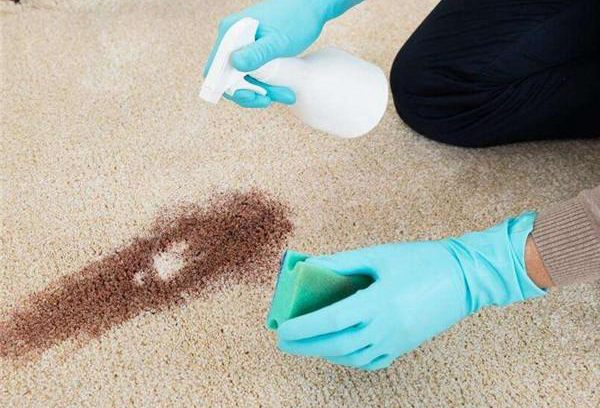 How to Clean A Reptile Carpet02