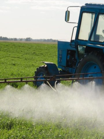 Need to Know Poisonous Ingredients in Commonly Marketed Herbicides