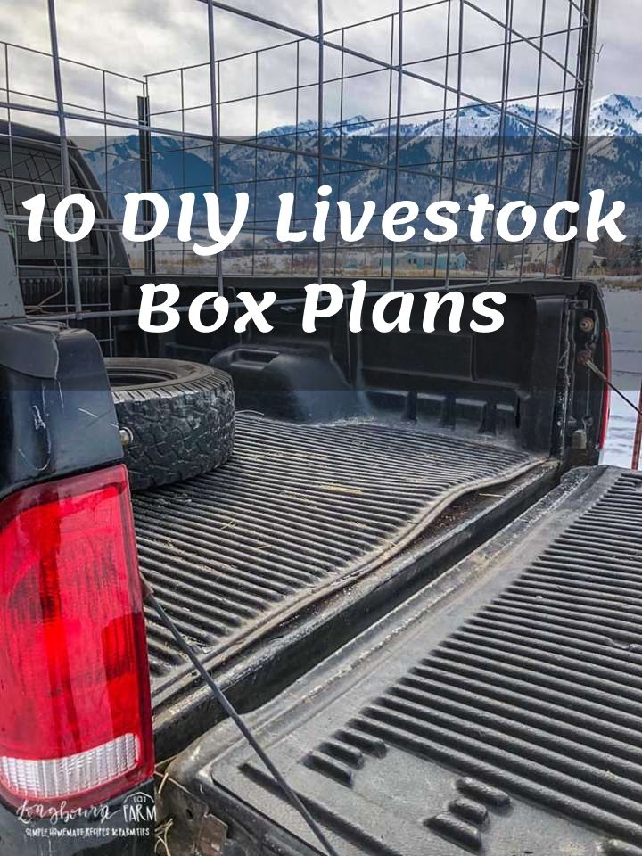 10 DIY Livestock Box Plans