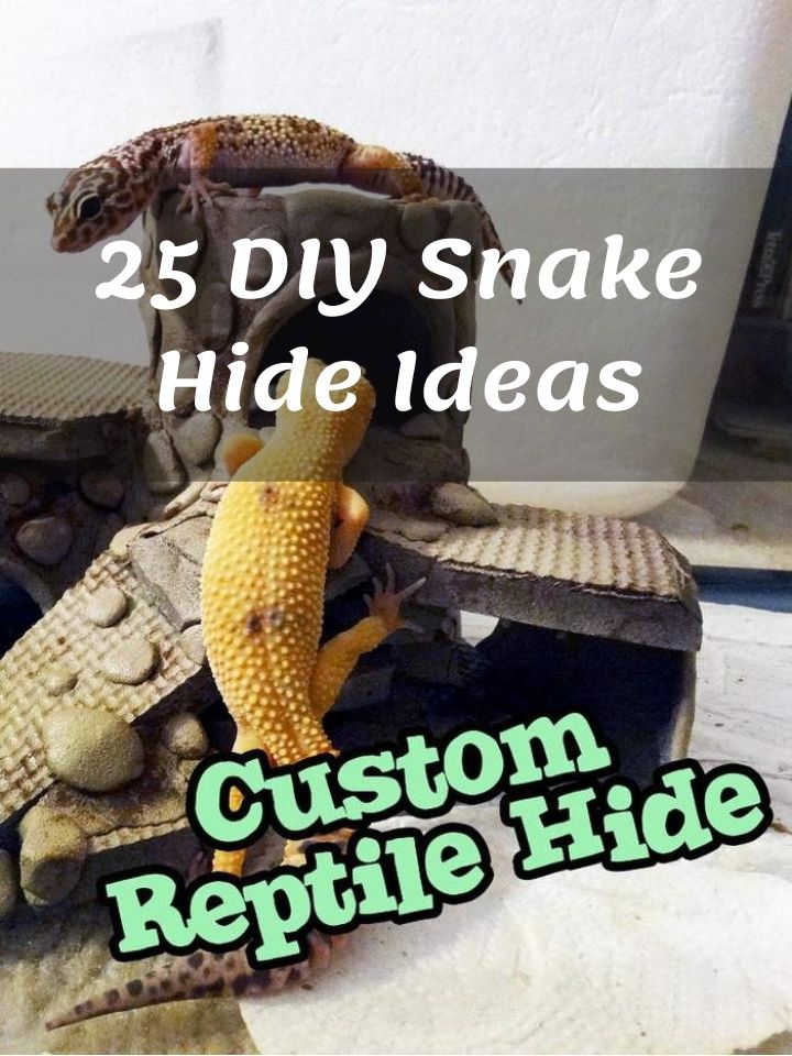 25 DIY Snake Hide Ideas