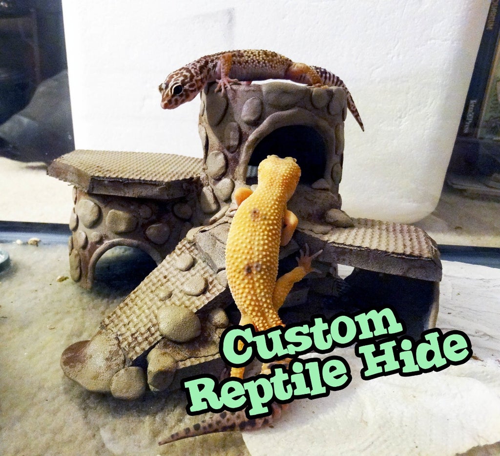 7. DIY Custom Reptile Hide