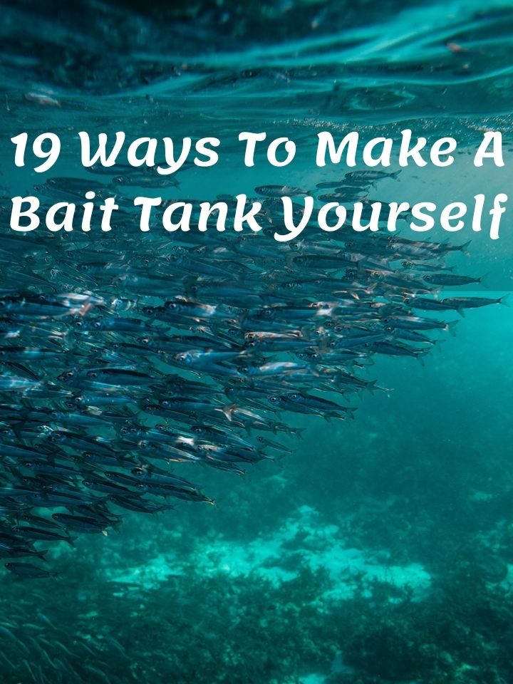 DIY Bait Tank 19 Ways To Make A Bait Tank Yourself