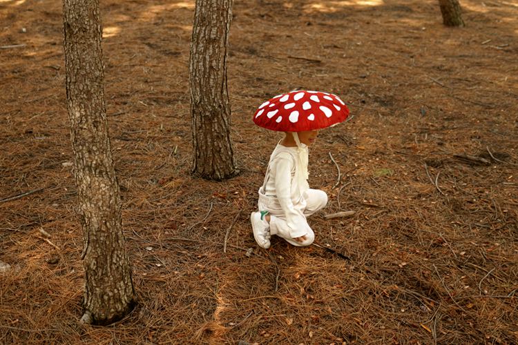 5. DIY Mushroom Costume