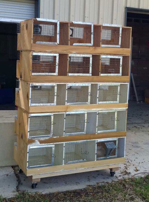 8. Building Chinchilla Cages