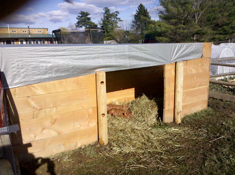 1. DIY Simple Pig Pen