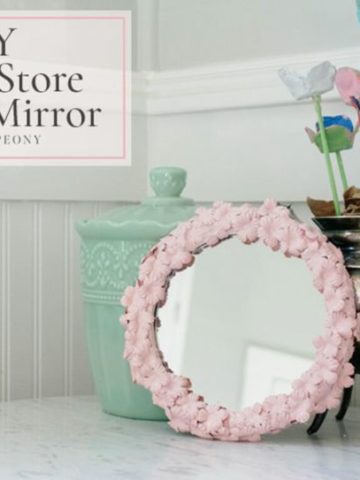 20. Dollar Store Flower Mirror