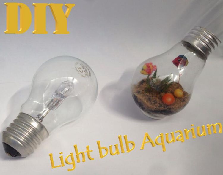 3. Aquarium In Lightbulb