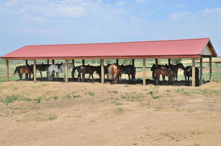 4. DIY Horse Run-In Shelters