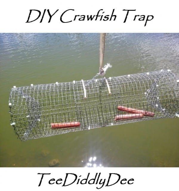 5. DIY Crawfish Trap