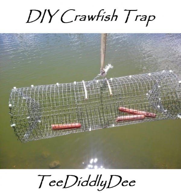 15 DIY Crawfish Trap Projects: Catch Crayfish With These Ideas