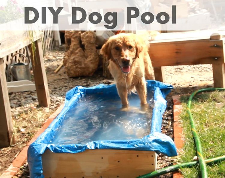 5. DIY Dog Pool