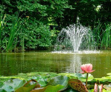 5. How To Make A Floating Pond Fountain