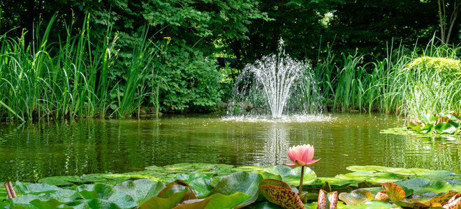 5. How To Make A Floating Pond Fountain