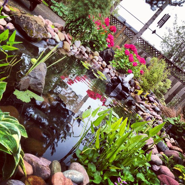 6. Simple Pond Fountain DIY
