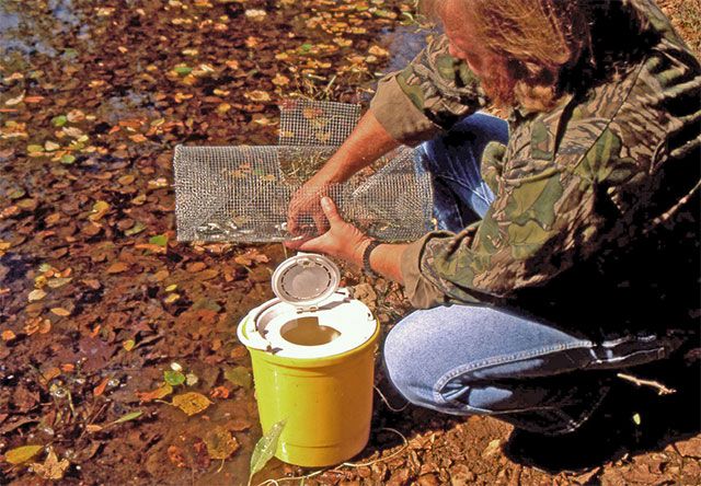 8. Building A Minnow Trap