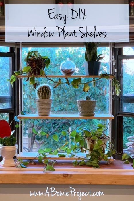 13. Hanging Window Plant Shelf