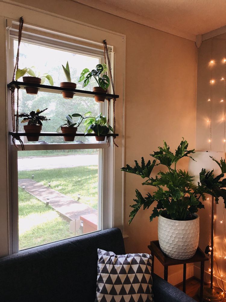 14. DIY Hanging Plant Shelf