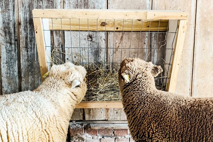 14. Wall-Mounted Hay Feeder