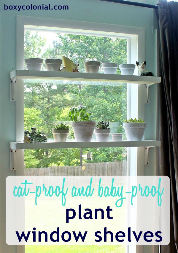 16. Cat Proof Window Plant Shelf