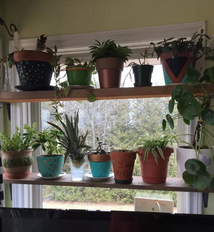 21. DIY Window Plant Shelf