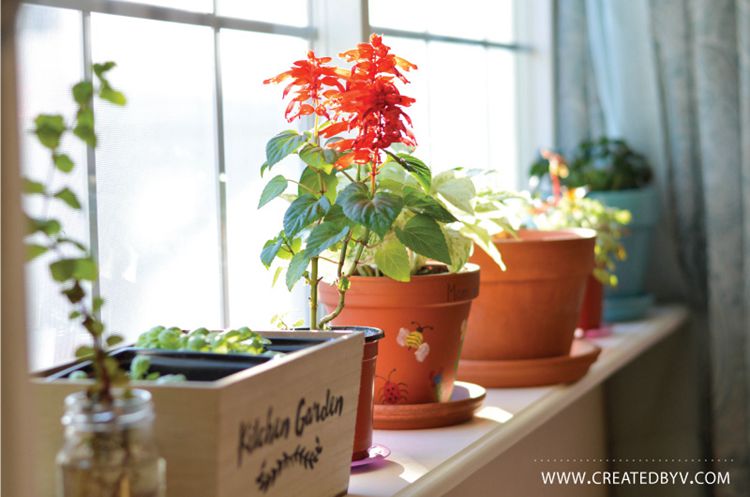 22. Removable Window Shelf For Plants