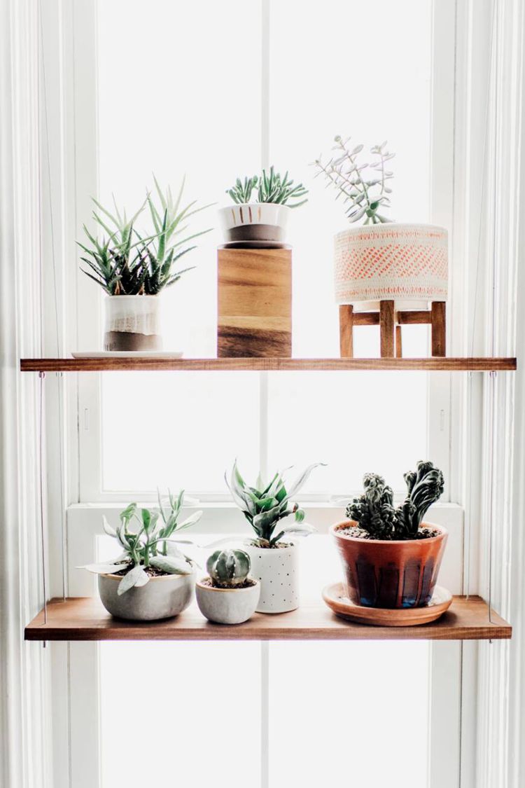 23. DIY Hanging Plant Shelf