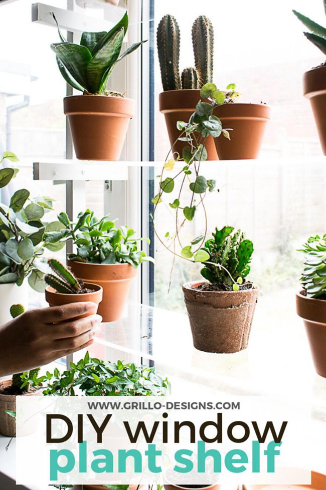 6. DIY Floating Window Plant Shelf