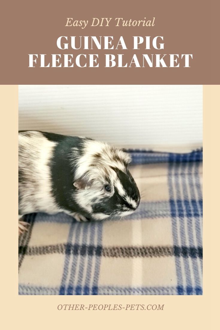 6. Guinea Pig Fleece Blanket