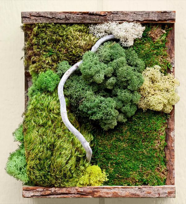 13. DIY Moss Art