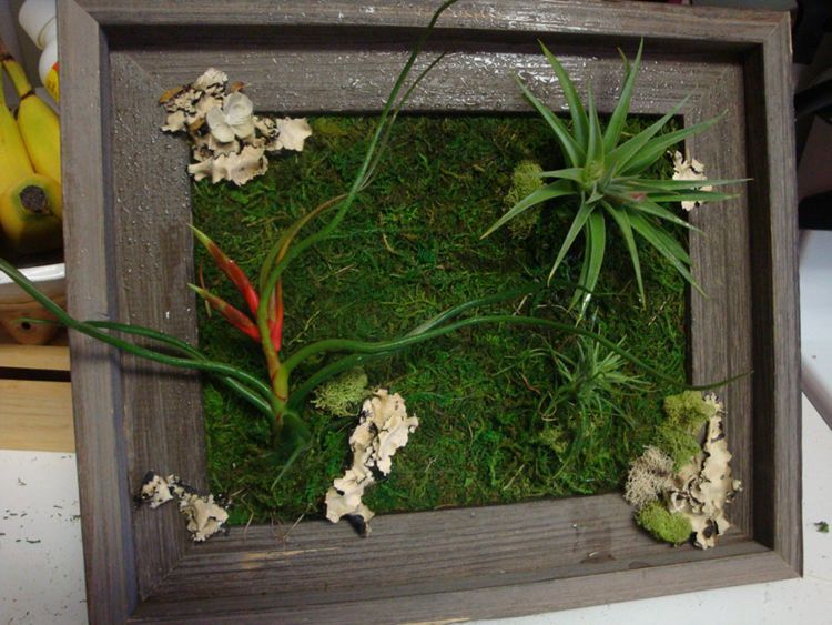 15. Living Wall Art